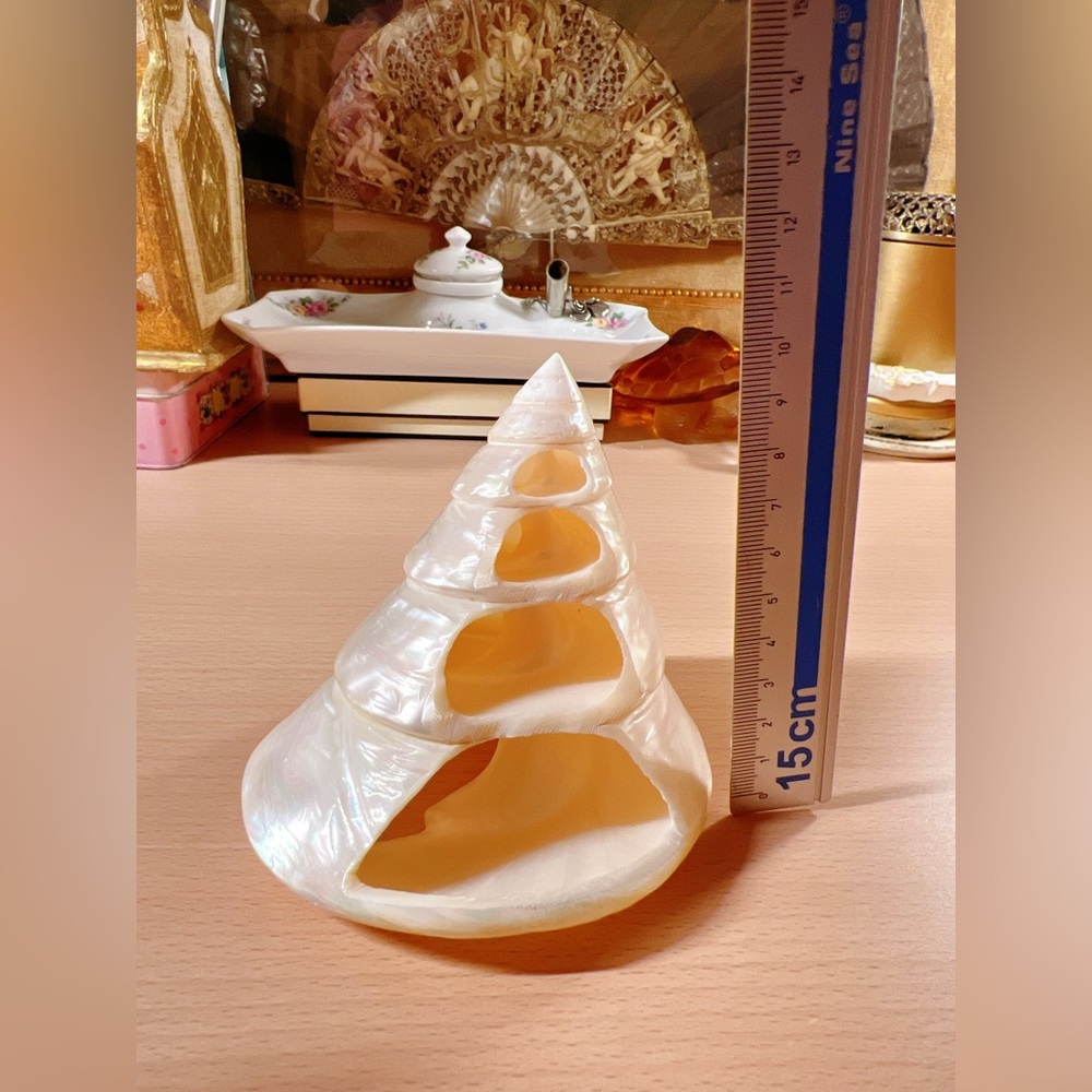 New! Natural Conch Shell Spiral Tiered Fish Tank Landscape Sea Snail Home Decor